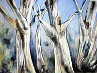 Acrylic/coloured pepcils on paper painting entitled 'Ghost Gums on Castlereagh'